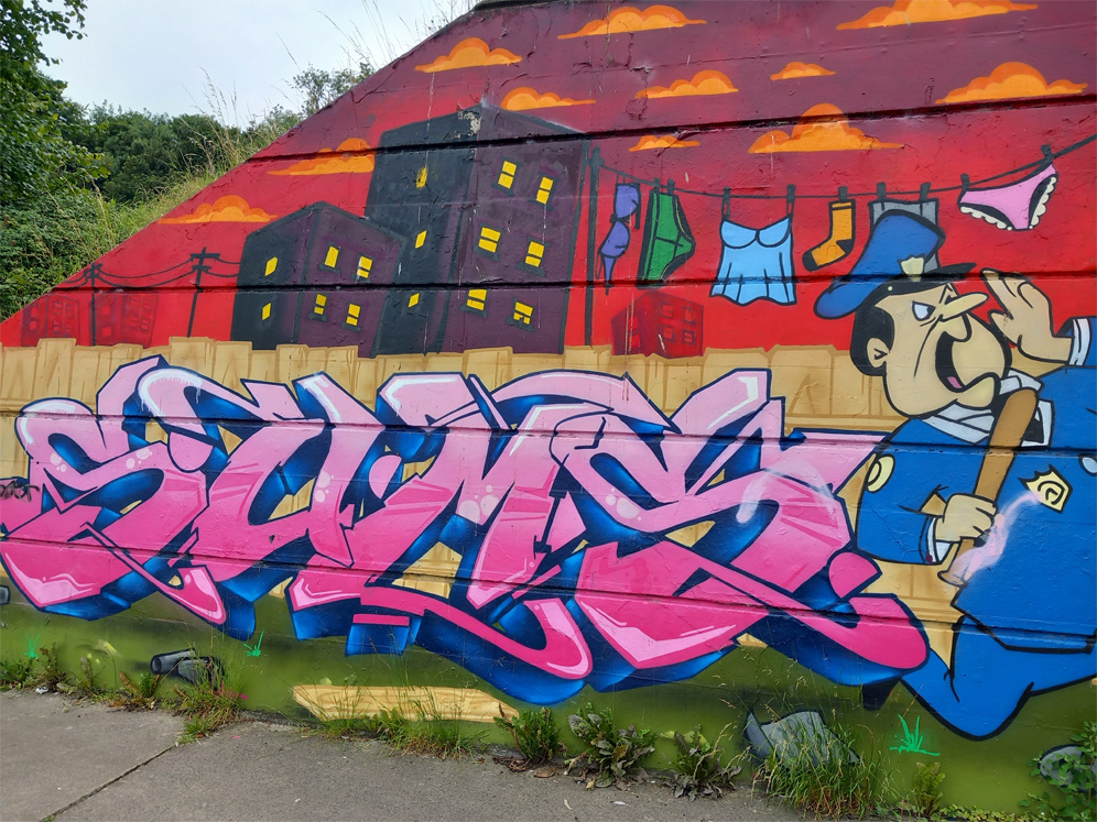 This is a photograph of graffiti on The Bridge of Peace Drogheda