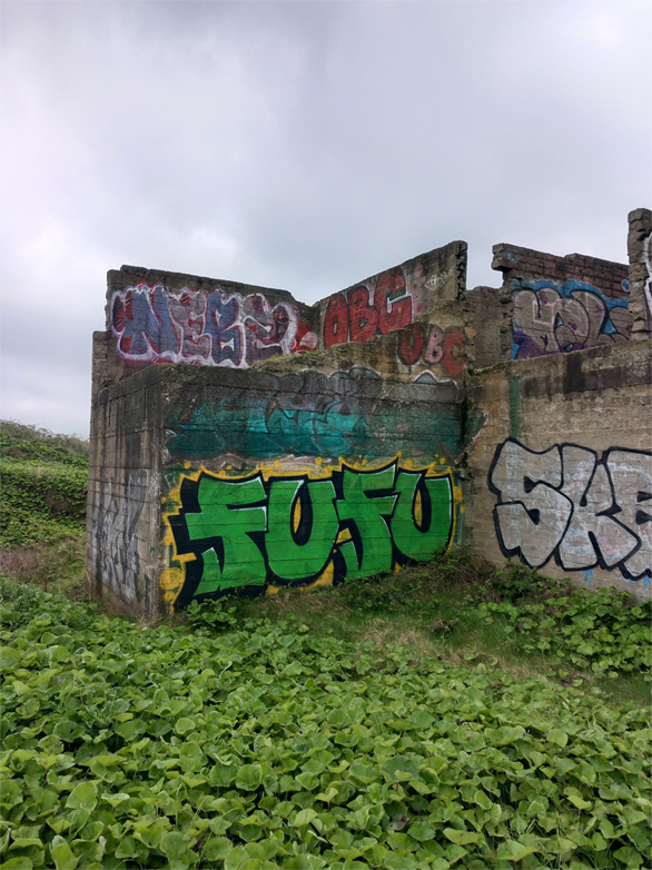 This is a photograph of some drogheda graffiti