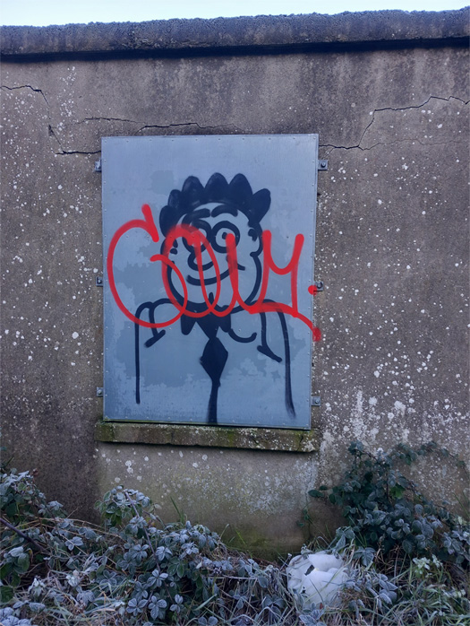 This is a photograph of some drogheda graffiti