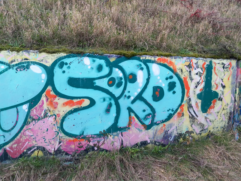 This is a photograph of some graffiti