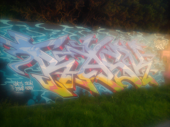 This is a photograph of graffiti by RASK